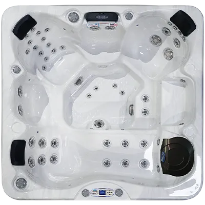 Avalon EC-849L hot tubs for sale in Southfield